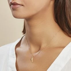 Histoire D'Or Pendentif Felicette Corne Abondance Or Jaune -Colliers Fantaisie Soldes B3PMJW0916 model0